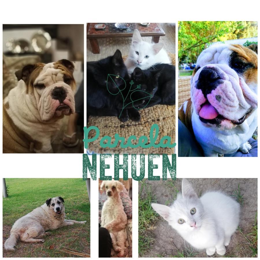 Parcela 9 Nehuen Talagante Esterno foto